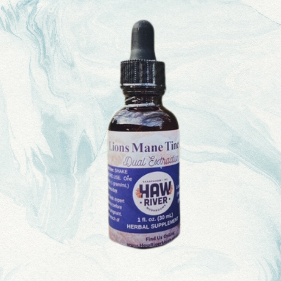 Lion's Mane Tincture