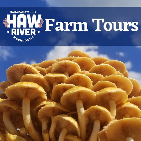 Farm Tour - Haw River Mushrooms